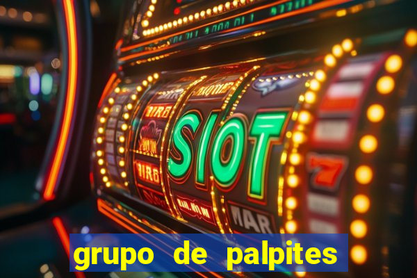 grupo de palpites de futebol whatsapp